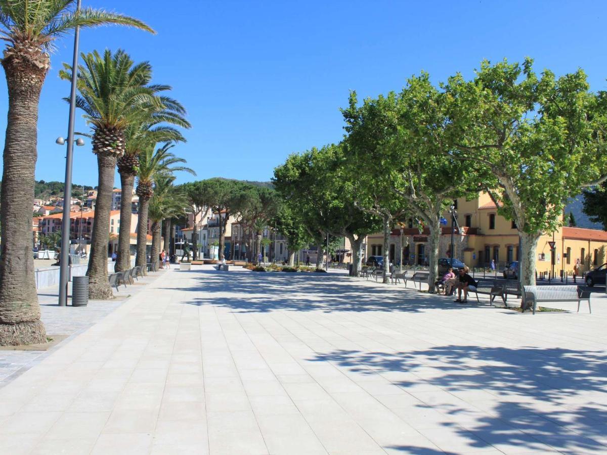 Studio Banyuls-sur-Mer, 1 pièce, 4 personnes - FR-1-225C-75 Esterno foto